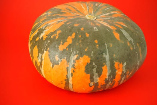 A ripe orange pumpkin on a red background. High quality photo