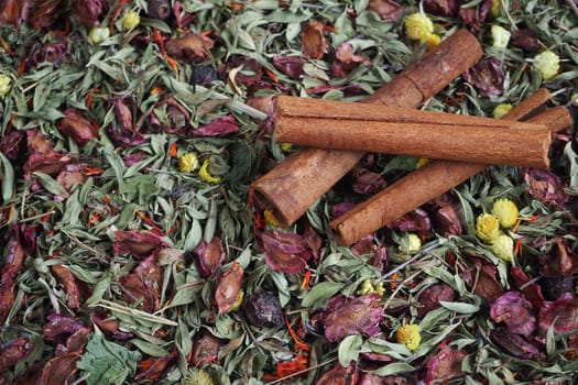 Brown cinnamon sticks on a beautiful background of herbs and flowers