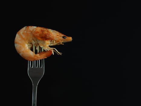 The prawn is king boiled on a fork on a black background. . High quality photo