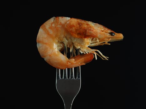 The prawn is king boiled on a fork on a black background. . High quality photo