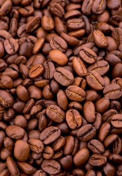 fried bright with smoky grains, coffee beans