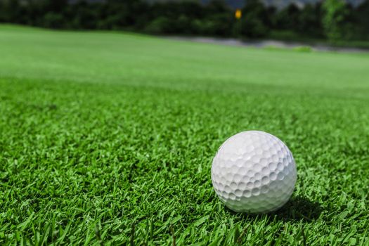 Golf ball on green grass of golf course, copy space