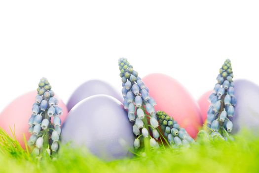 Colorful easter eggs in fresh spring green grass with flowers