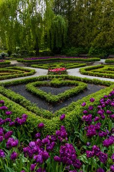 Small square in park with plants in card symbols shape