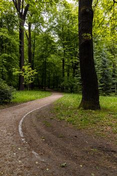 Long curvy path in park with trees and bushes around