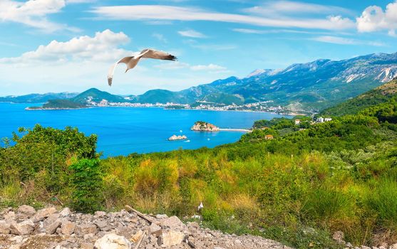 Panoramic landscape of Budva riviera in Montenegro