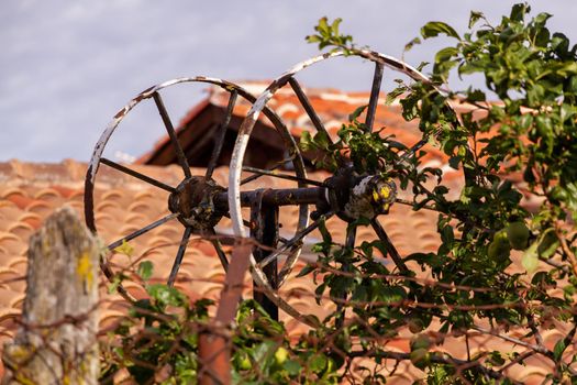 An old rusty metal wheel surrounded by leaves