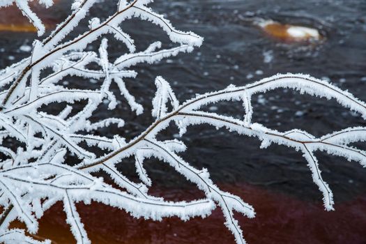 The wild nature at sunset, the wild frozen small river in the winter wood, the Red River, ice, snow-covered trees. High quality photo