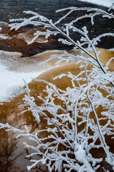 The wild nature at sunset, the wild frozen small river in the winter wood, the Red River, ice, snow-covered trees. High quality photo