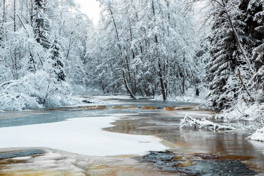 The wild nature at sunset, the wild frozen small river in the winter wood, the Red River, ice, snow-covered trees. High quality photo