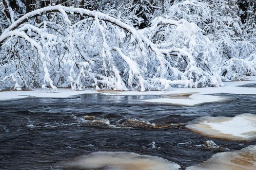 The wild nature at sunset, the wild frozen small river in the winter wood, the Red River, ice, snow-covered trees. High quality photo