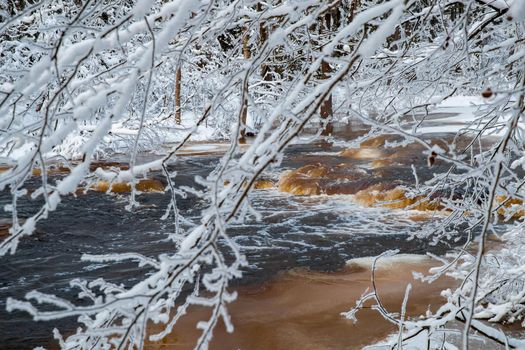 The wild nature at sunset, the wild frozen small river in the winter wood, the Red River, ice, snow-covered trees. High quality photo