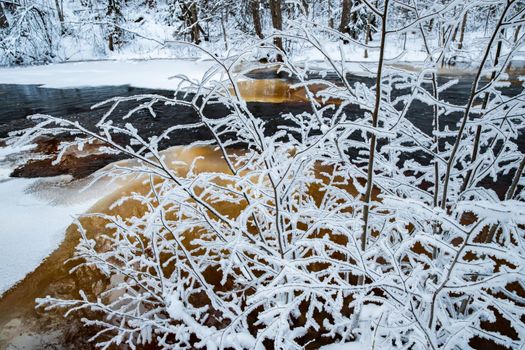 The wild nature at sunset, the wild frozen small river in the winter wood, the Red River, ice, snow-covered trees. High quality photo