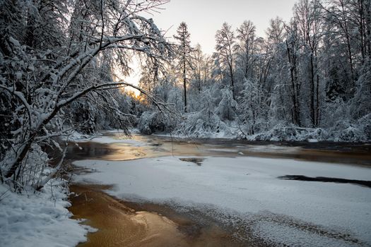 The wild nature at sunset, the wild frozen small river in the winter wood, the Red River, ice, snow-covered trees. High quality photo