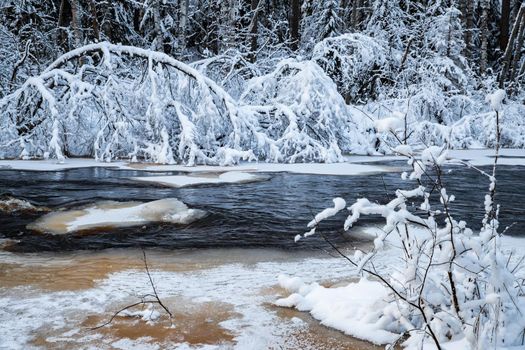 The wild nature at sunset, the wild frozen small river in the winter wood, the Red River, ice, snow-covered trees. High quality photo