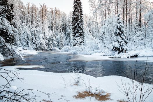 The wild nature at sunset, the wild frozen small river in the winter wood, the Red River, ice, snow-covered trees. High quality photo