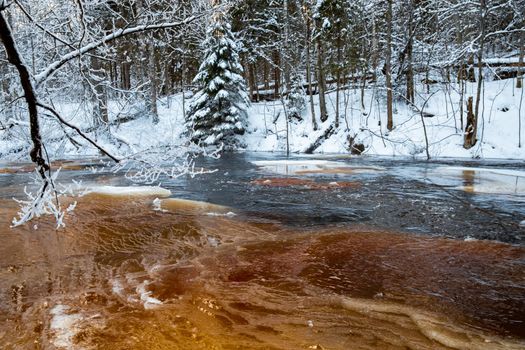 The wild nature at sunset, the wild frozen small river in the winter wood, the Red River, ice, snow-covered trees. High quality photo