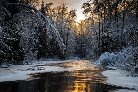 The wild nature at sunset, the wild frozen small river in the winter wood, the Red River, ice, snow-covered trees. High quality photo