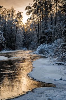 The wild nature at sunset, the wild frozen small river in the winter wood, the Red River, ice, snow-covered trees. High quality photo