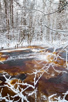 The wild nature at sunset, the wild frozen small river in the winter wood, the Red River, ice, snow-covered trees. High quality photo