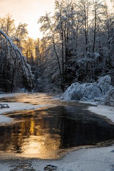 The wild nature at sunset, the wild frozen small river in the winter wood, the Red River, ice, snow-covered trees. High quality photo