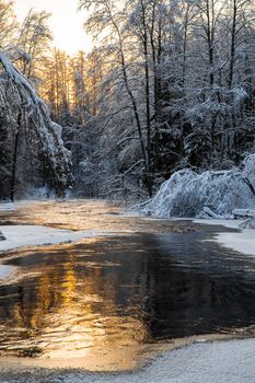 The wild nature at sunset, the wild frozen small river in the winter wood, the Red River, ice, snow-covered trees. High quality photo