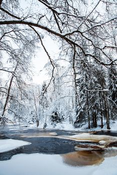 The wild nature at sunset, the wild frozen small river in the winter wood, the Red River, ice, snow-covered trees. High quality photo