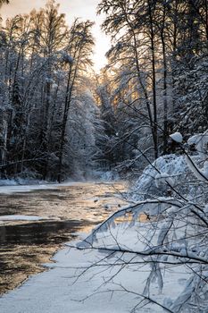 The wild nature at sunset, the wild frozen small river in the winter wood, the Red River, ice, snow-covered trees. High quality photo