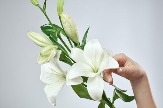 A bouquet of white flowers and female hands on a light background cropped view close-up. High quality photo