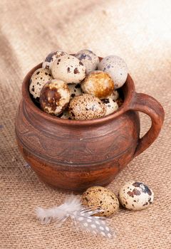 Quail eggs in a jug, a feather on a canvas