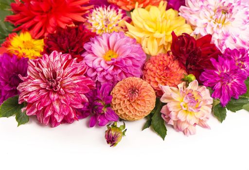 Deautiful flower dahlia isolated on a white background