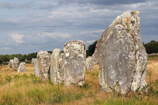 Alignments of Carnac - Carnac stones - the largest megalithic site in the world, Carnac, Brittany, France