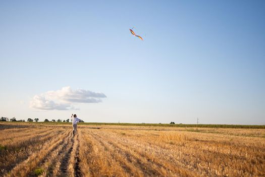 A boy with a kite runs through the field. Summer vacation in the country in the countryside.