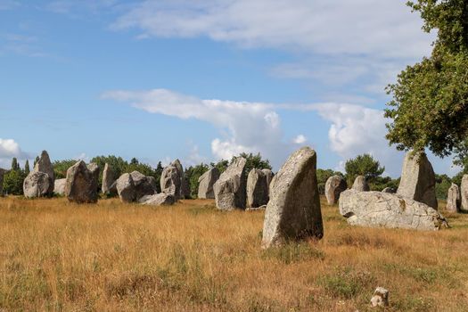 Carnac stones - Alignments of Kermario - rows of menhirs in Brittany, France