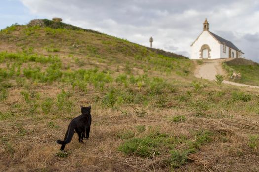 Megalithic grave mound Tumulus of St Michel with chapel of Saint Michel near Carnac in Brittany, France. It is the largest grave mound in Europe.