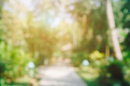 Blur nature bokeh green park by beach and tropical coconut trees in sunset time.