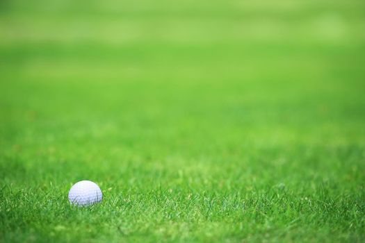 Golf ball on tee on green grass of golf course background, backgrounds for banner foth copy space for text