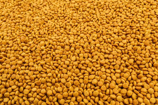 full frame background of small dry orange cat food crockets close-up with selective focus