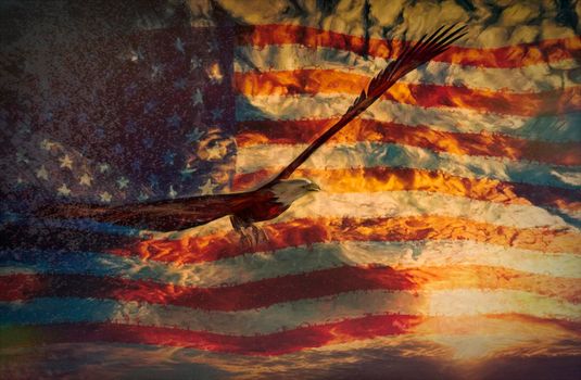 Illustration of an eagle with american flag background - 3D rendering and digital paint
