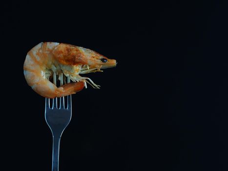 The shrimp is whole unpeeled on a fork in isolation on a black background. Boiled king prawn close-up High quality photo