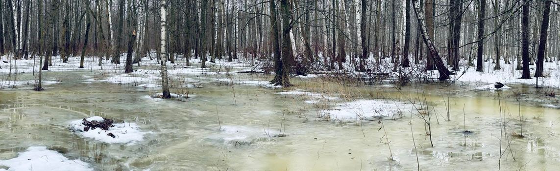 The panoramic image of winter park, black trunks of trees stand in water, cloudy weather. High quality photo