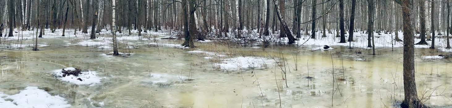 The panoramic image of winter park, black trunks of trees stand in water, cloudy weather. High quality photo