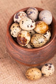 Quail eggs in a jug, a feather on a canvas