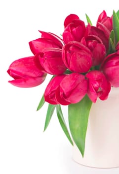 Bouquet of pink tulips on a light background. Holiday card.