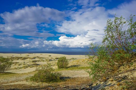 Sea landscape of the Baltic sea with coastal sand dunes of the Curonian spit. beauty of nature