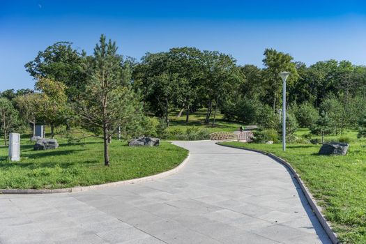 A path in a modern well-kept Park with green trees and a wooden bridge. Vladivostok, Russia
