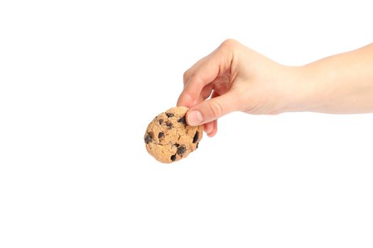 Woman holding tasty chocolate chip cookie on white background, closeup