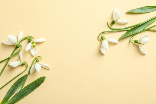 Beautiful spring snowdrop flowers on color background, space for text