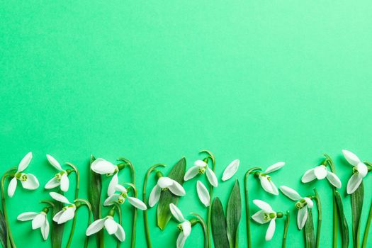 Beautiful spring snowdrop flowers on color background, space for text