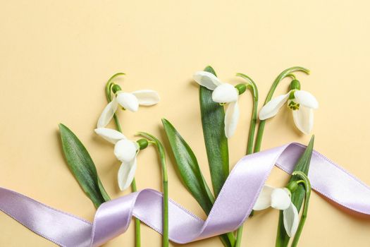 Beautiful spring snowdrop flowers on color background, space for text